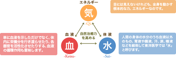 
目には見えないけれども、全身を動かす根本的な力、エネルギーなのです。
単に血液を示しただけでなく、体内に栄養分を行き渡らせたり、各器官を活性化させたりする、血液の循環作用も意味します。
人間の身体の水分のうち血液以外のもの、胃液や腸液、汗、涙、唾液などを総称して東洋医学では「水」と呼びます。
