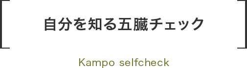 目で見る漢方診断 / はやし 浩司 / 飛鳥新社 【送料無料】【中古