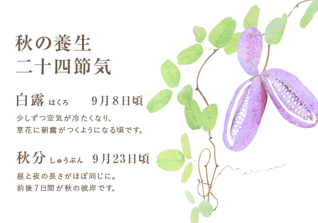 2025，人気】 漢方LIFE 全7巻セット 揃い ディアゴスティーニ 漢方ライフ